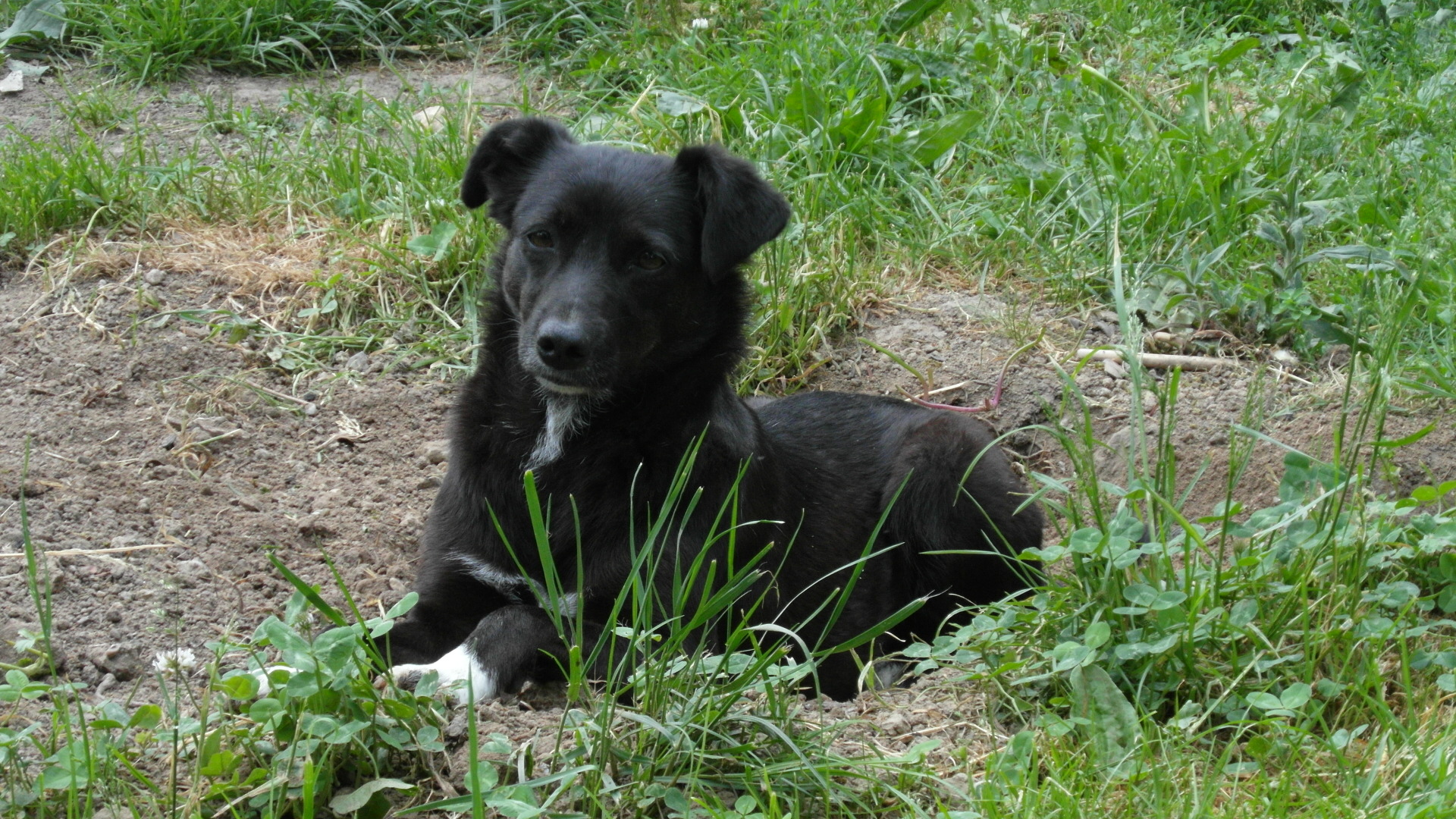 Coco14.JPG (1920 x 1080)